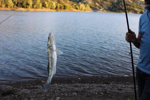 onaga fishing