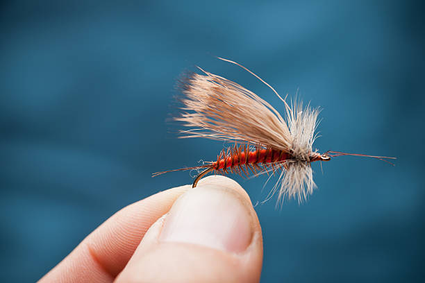 Trout fishing bait