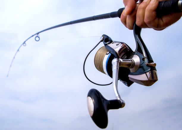 surfcasting gear